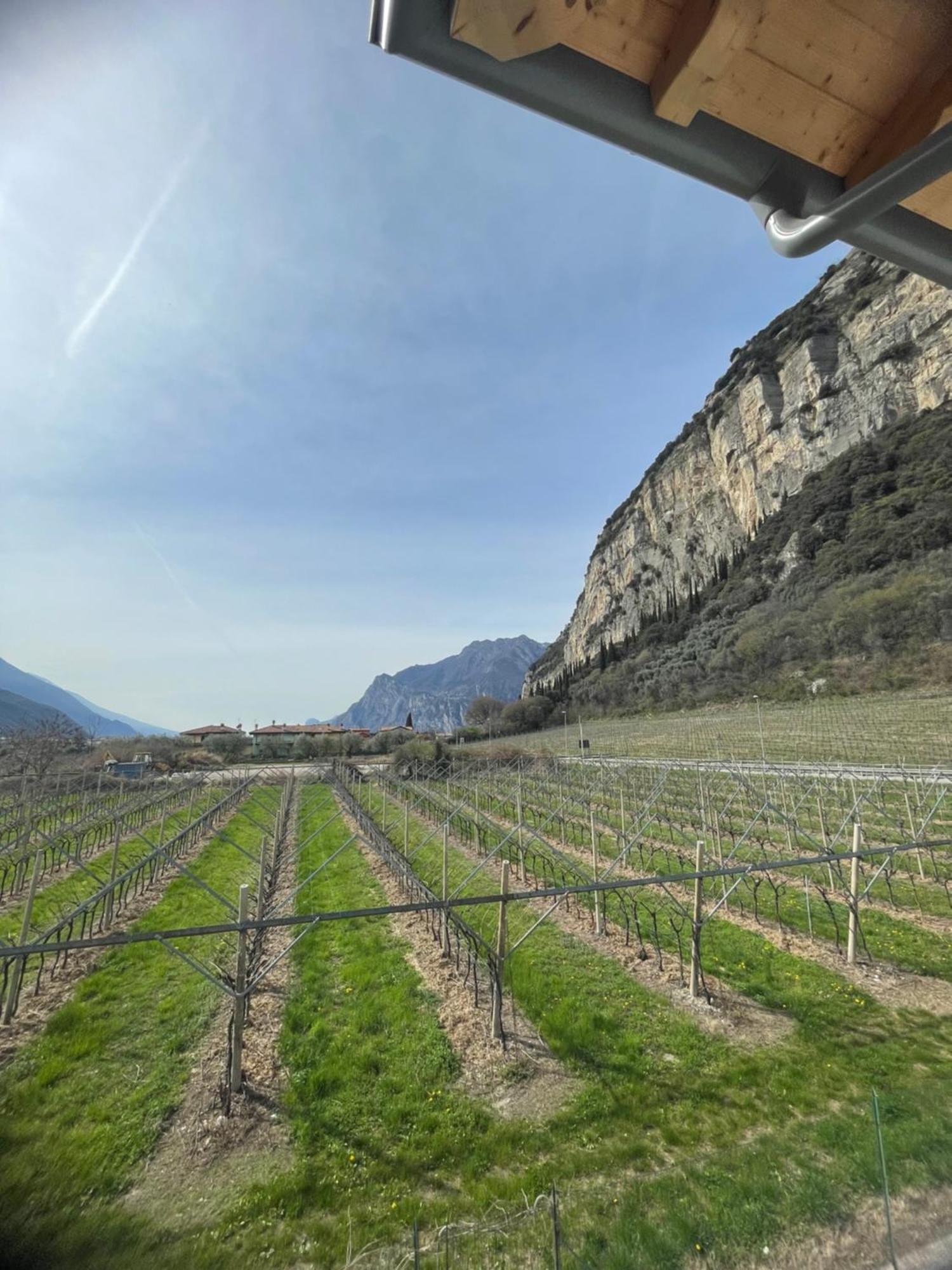Lotus Garda Bed & Breakfast Riva del Garda Bagian luar foto